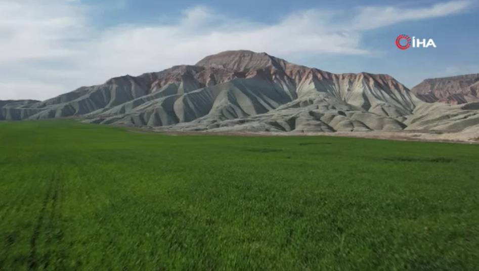 Ankara'nın Kuş Cenneti ziyaretçilerin gözlerini kamaştırıyor - Resim: 8